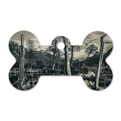 Dry Forest Landscape, Tierra Del Fuego, Argentina Dog Tag Bone (two Sides) by dflcprintsclothing