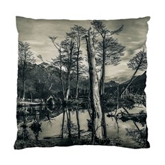 Dry Forest Landscape, Tierra Del Fuego, Argentina Standard Cushion Case (one Side) by dflcprintsclothing