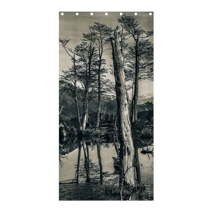 Dry Forest Landscape, Tierra Del Fuego, Argentina Shower Curtain 36  x 72  (Stall) 