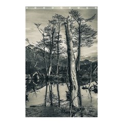 Dry Forest Landscape, Tierra Del Fuego, Argentina Shower Curtain 48  X 72  (small)  by dflcprintsclothing