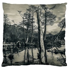 Dry Forest Landscape, Tierra Del Fuego, Argentina Large Cushion Case (one Side) by dflcprintsclothing