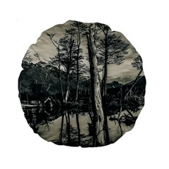 Dry Forest Landscape, Tierra Del Fuego, Argentina Standard 15  Premium Round Cushions by dflcprintsclothing