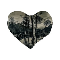 Dry Forest Landscape, Tierra Del Fuego, Argentina Standard 16  Premium Flano Heart Shape Cushions by dflcprintsclothing