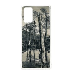 Dry Forest Landscape, Tierra Del Fuego, Argentina Samsung Galaxy Note 20 Tpu Uv Case by dflcprintsclothing