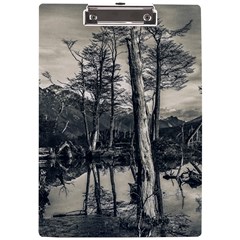 Dry Forest Landscape, Tierra Del Fuego, Argentina A4 Acrylic Clipboard by dflcprintsclothing