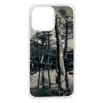 Dry Forest Landscape, Tierra Del Fuego, Argentina iPhone 14 Pro Max TPU UV Print Case Front