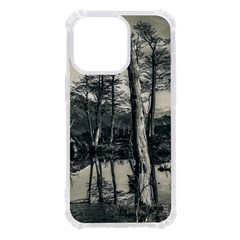 Dry Forest Landscape, Tierra Del Fuego, Argentina Iphone 13 Pro Tpu Uv Print Case by dflcprintsclothing