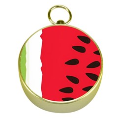 Watermelon Black Green Melon Red Gold Compasses