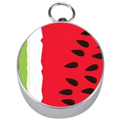 Watermelon Black Green Melon Red Silver Compasses