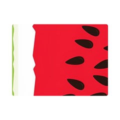 Watermelon Black Green Melon Red Premium Plush Fleece Blanket (Mini)