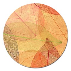 Leaves Patterns Colorful Leaf Pattern Magnet 5  (Round)