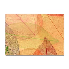 Leaves Patterns Colorful Leaf Pattern Sticker A4 (10 pack)