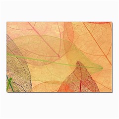 Leaves Patterns Colorful Leaf Pattern Postcards 5  x 7  (Pkg of 10)