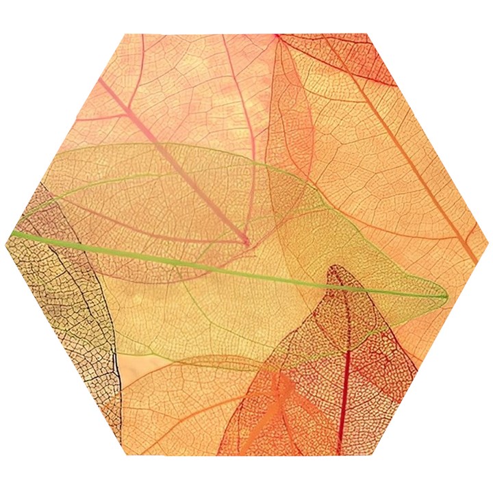 Leaves Patterns Colorful Leaf Pattern Wooden Puzzle Hexagon