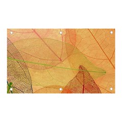 Leaves Patterns Colorful Leaf Pattern Banner and Sign 5  x 3 