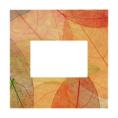 Leaves Patterns Colorful Leaf Pattern White Box Photo Frame 4  x 6 