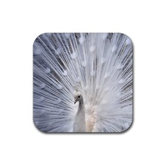 White Peacock Bird Rubber Coaster (square) by Ndabl3x