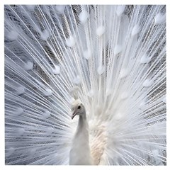 White Peacock Bird Wooden Puzzle Square by Ndabl3x