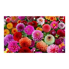Flowers Colorful Garden Nature Banner And Sign 5  X 3  by Ndabl3x