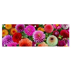 Flowers Colorful Garden Nature Banner And Sign 6  X 2  by Ndabl3x
