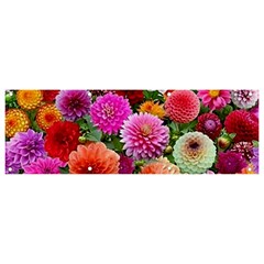 Flowers Colorful Garden Nature Banner And Sign 9  X 3  by Ndabl3x