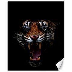 Tiger Angry Nima Face Wild Canvas 16  x 20 