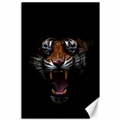 Tiger Angry Nima Face Wild Canvas 24  X 36 