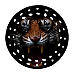 Tiger Angry Nima Face Wild Round Filigree Ornament (two Sides)