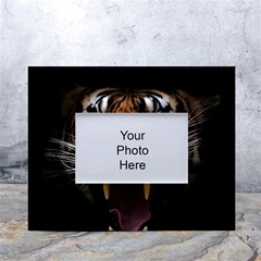 Tiger Angry Nima Face Wild White Tabletop Photo Frame 4 x6 