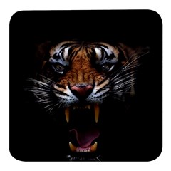 Tiger Angry Nima Face Wild Square Glass Fridge Magnet (4 pack)