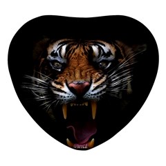 Tiger Angry Nima Face Wild Heart Glass Fridge Magnet (4 pack)