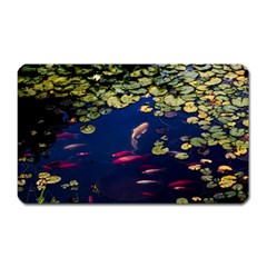 Koi Fish Carp Magnet (rectangular)