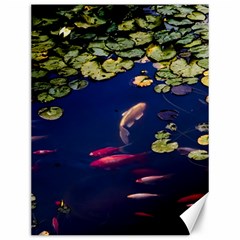 Koi Fish Carp Canvas 12  X 16 