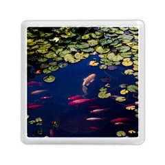 Koi Fish Carp Memory Card Reader (square)