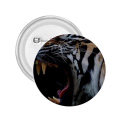 Angry Tiger Roar 2 25  Buttons