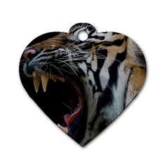 Angry Tiger Roar Dog Tag Heart (two Sides)