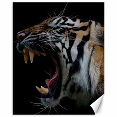 Angry Tiger Roar Canvas 11  X 14 