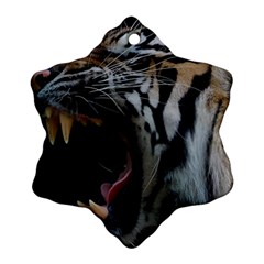 Angry Tiger Roar Snowflake Ornament (two Sides)