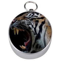 Angry Tiger Roar Silver Compasses