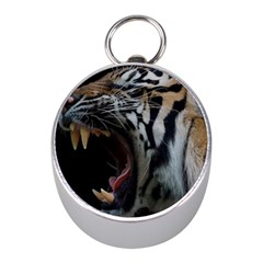 Angry Tiger Roar Mini Silver Compasses