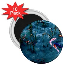 Fish Koi Carp 2 25  Magnets (10 Pack) 