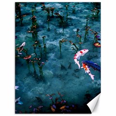 Fish Koi Carp Canvas 18  X 24 