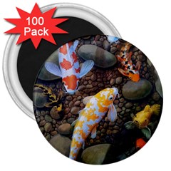 Koi Fish Clown Pool Stone 3  Magnets (100 Pack)