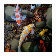 Koi Fish Clown Pool Stone Medium Glasses Cloth