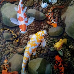 Koi Fish Clown Pool Stone Play Mat (rectangle) by Cemarart