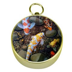 Koi Fish Clown Pool Stone Gold Compasses