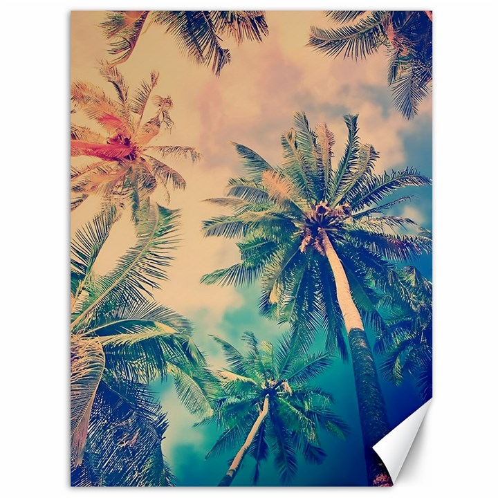 Palm Trees Beauty Nature Clouds Summer Canvas 36  x 48 