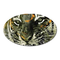 Angry Tiger Animal Broken Glasses Oval Magnet by Cemarart