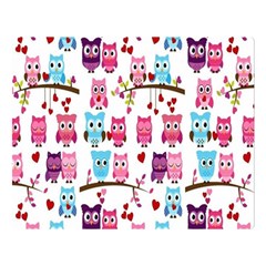 Owl Pattern Two Sides Premium Plush Fleece Blanket (large)