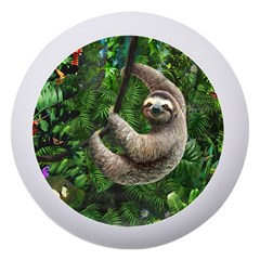 Sloth In Jungle Art Animal Fantasy Dento Box With Mirror